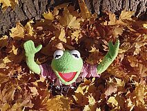 bunte Blätter, mittendrin Kermit der Frosch, der die Hände in die Luft wirft.